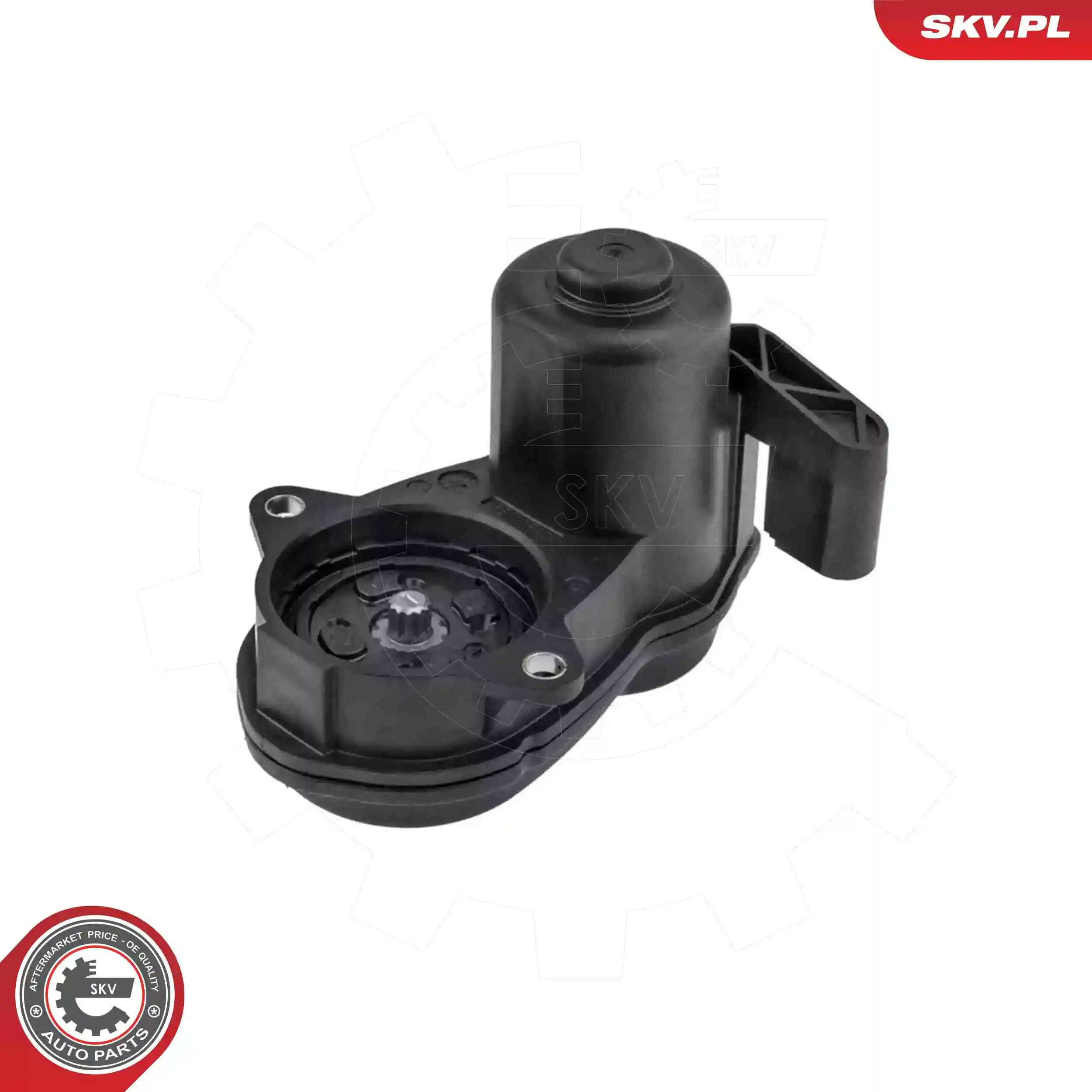 Control Element, parking brake caliper